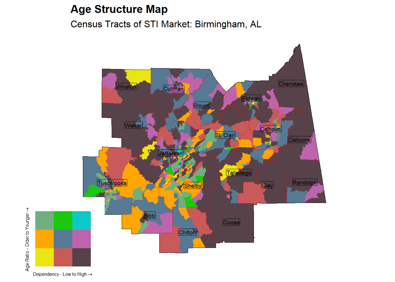 Age Structure Class by Census Tract
