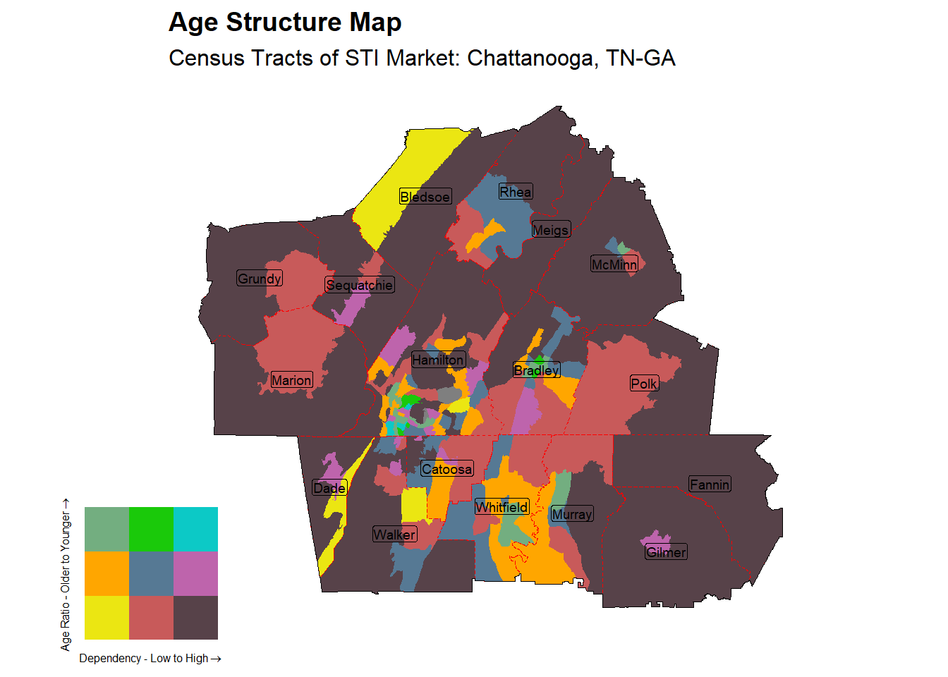 Age Structure Class by Census Tract