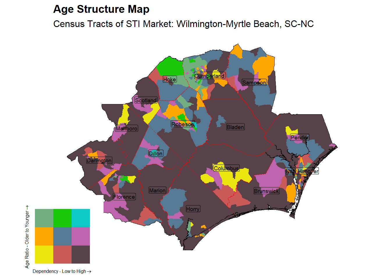 Age Structure Class by Census Tract