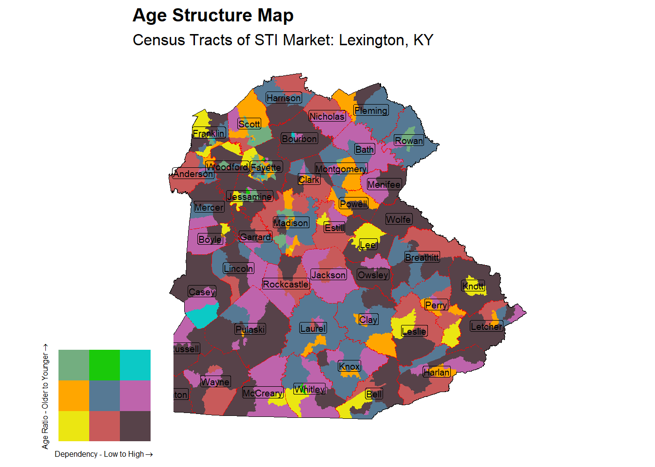 Age Structure Class by Census Tract